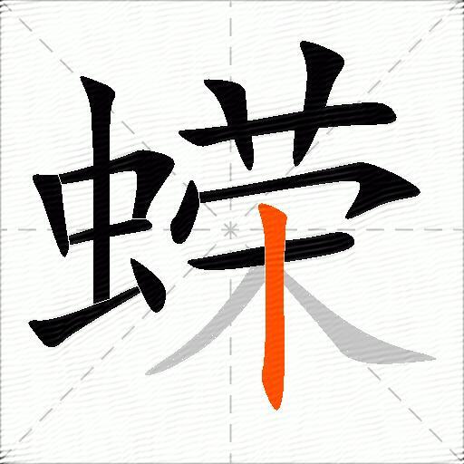 蝾