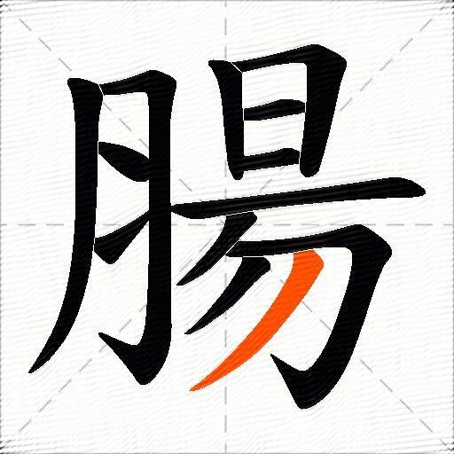 腸