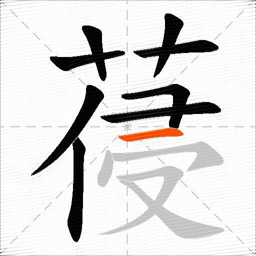 葠