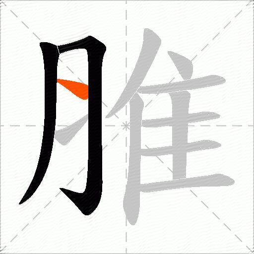 脽