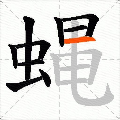 蝿