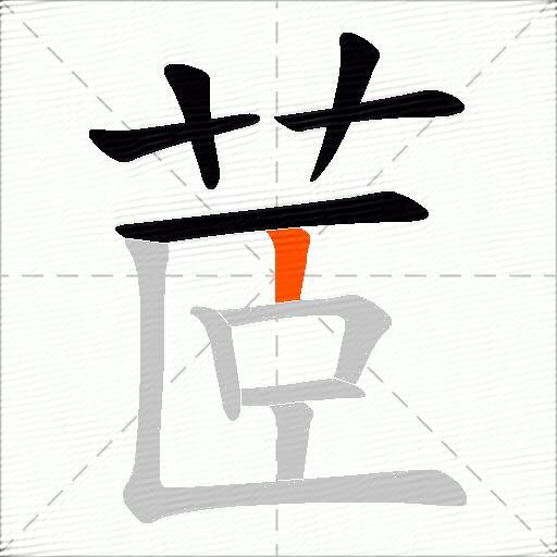 茝