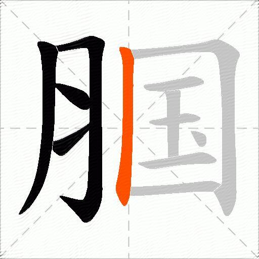 腘