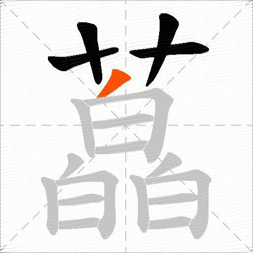 藠