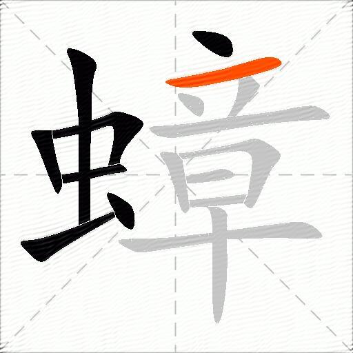 蟑
