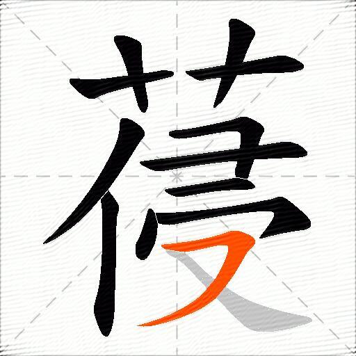 葠