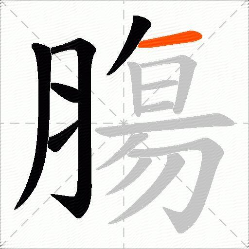 膓
