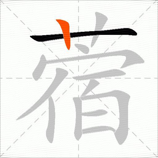 蓿