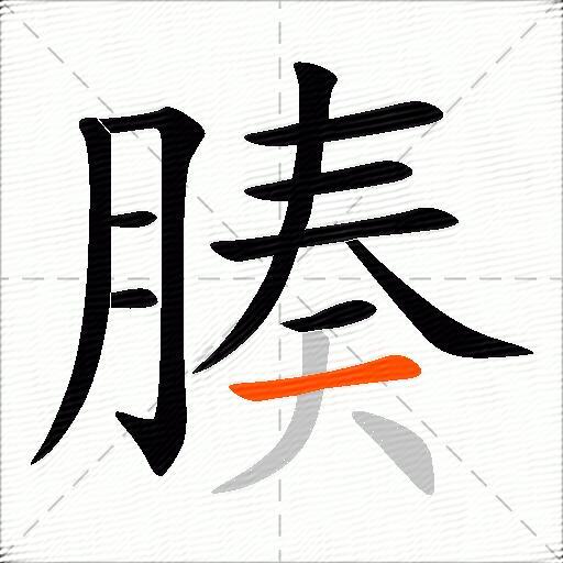 腠