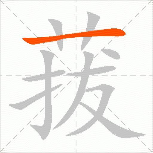 菝