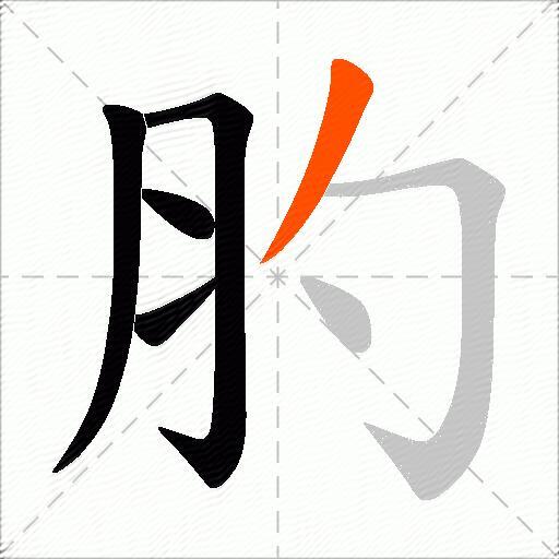 肑