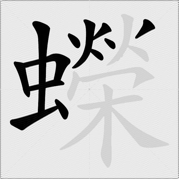 蠑