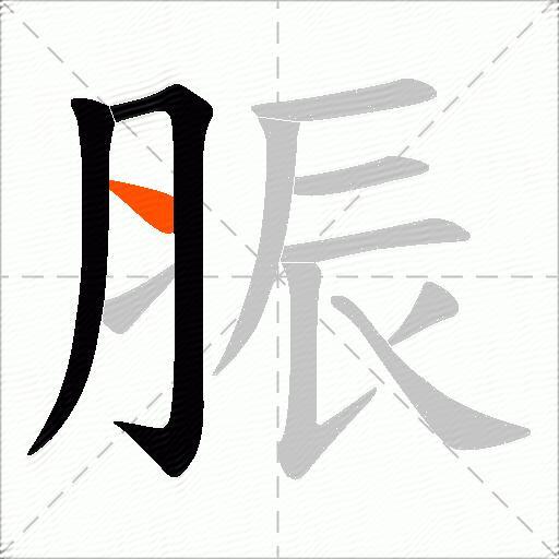 脤