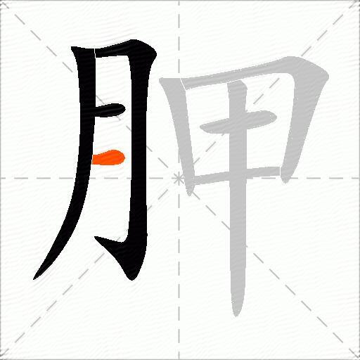 胛