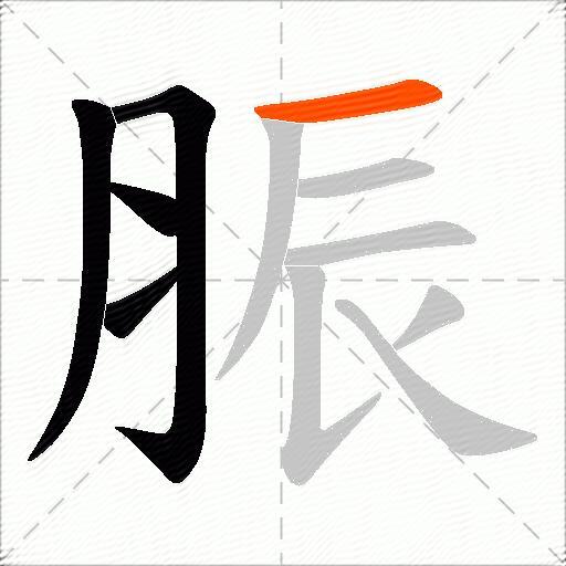 脤