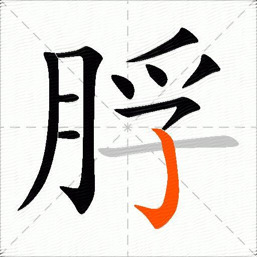 脬