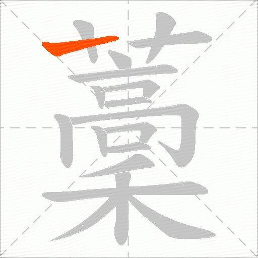 藳