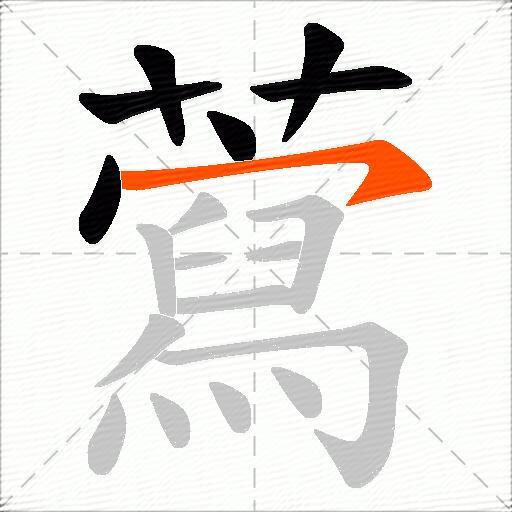 藛