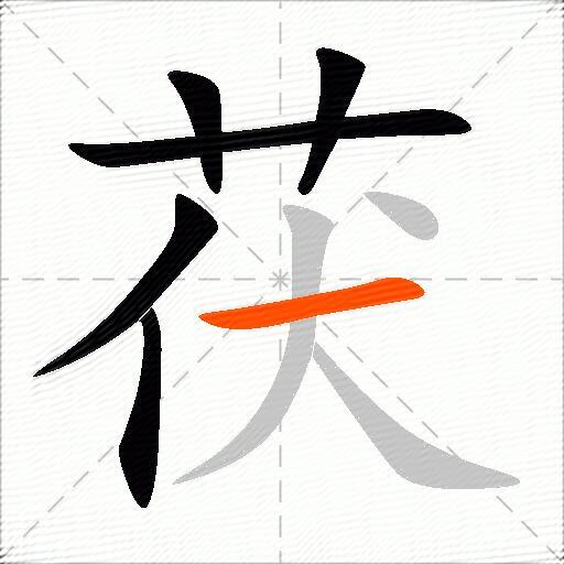 茯