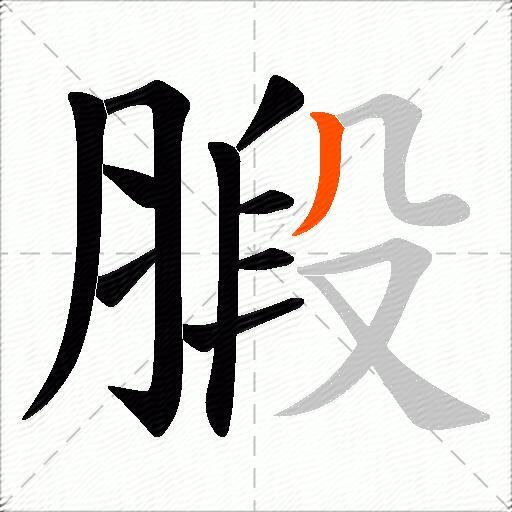 腶