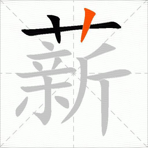 薪