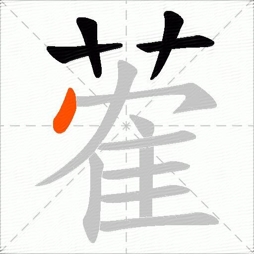 蒮