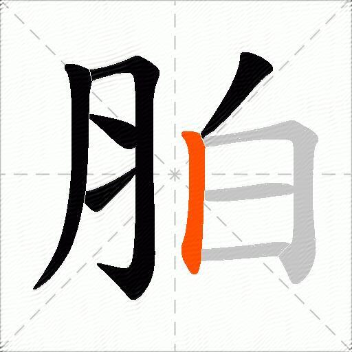 胉