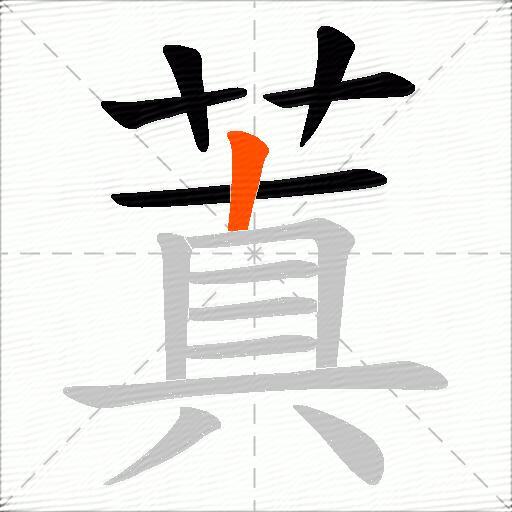 蒖