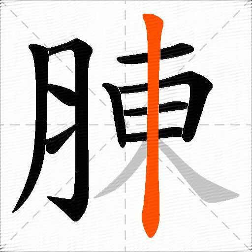 腖