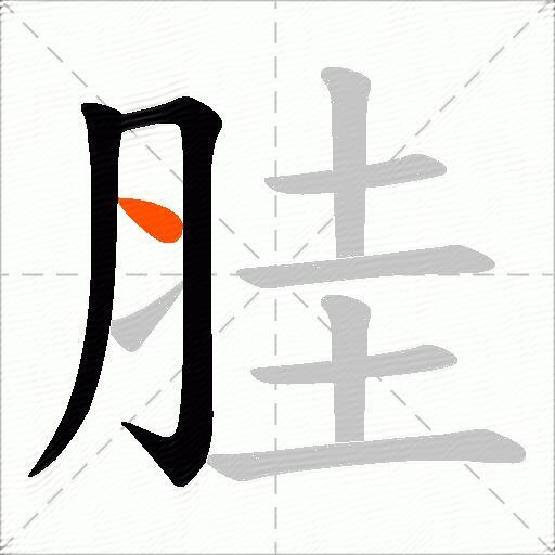 胿