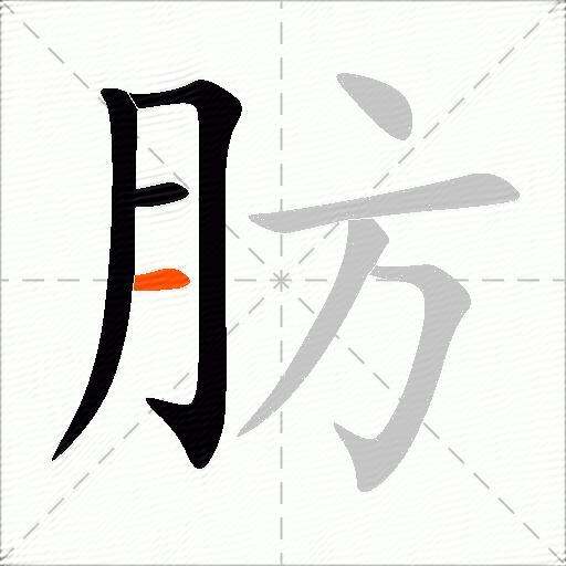 肪