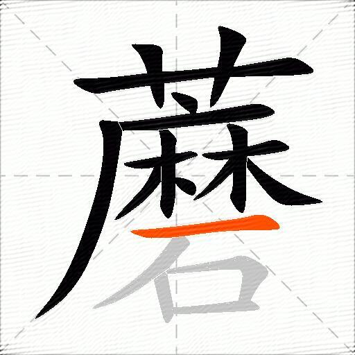 蘑