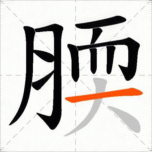 腝