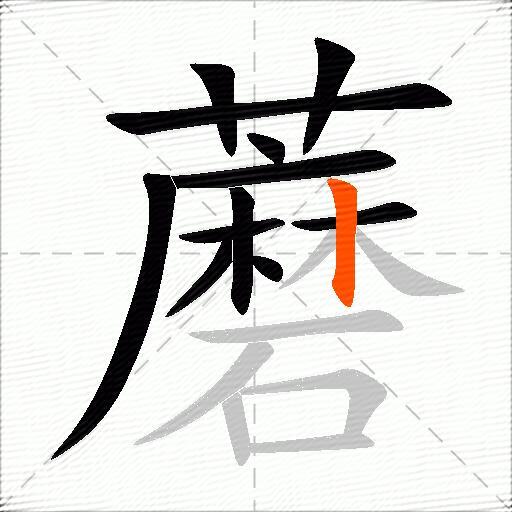 蘑