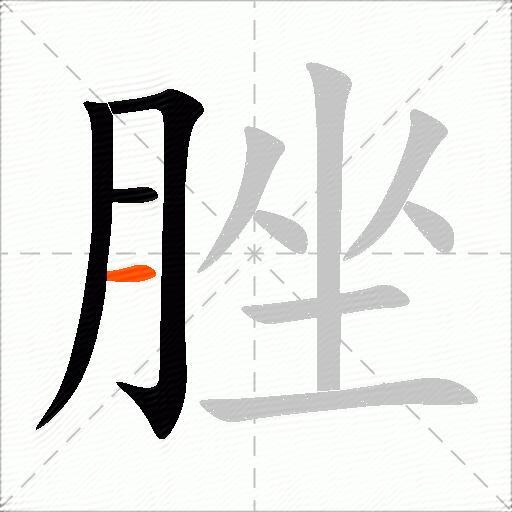 脞