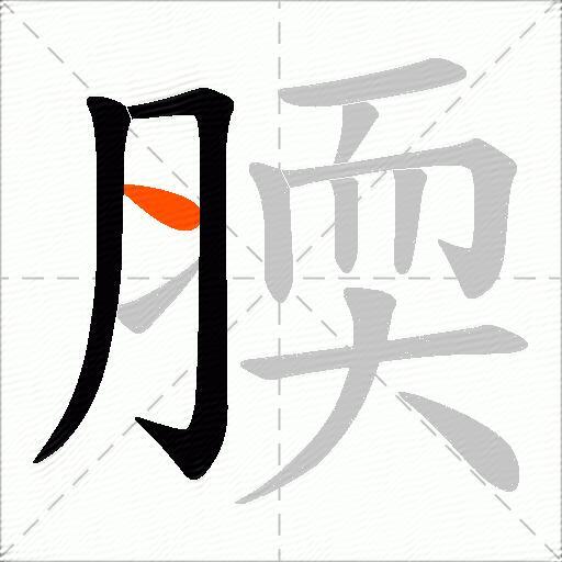 腝