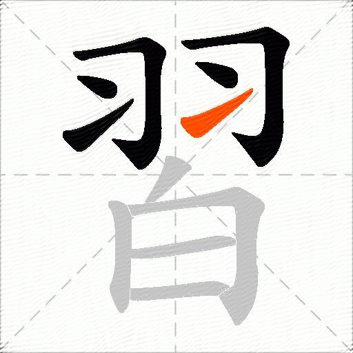習