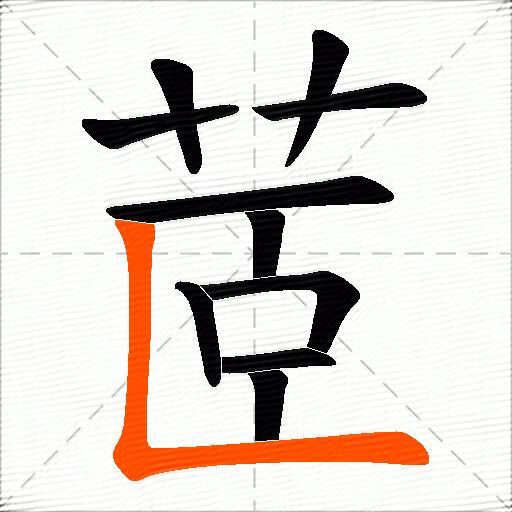 茝