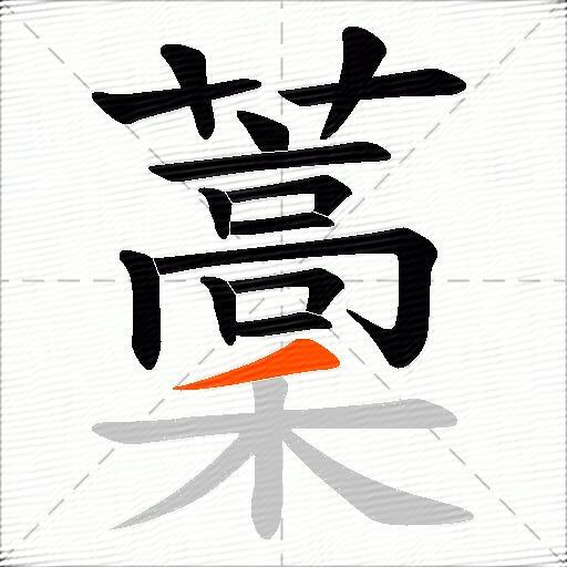 藳
