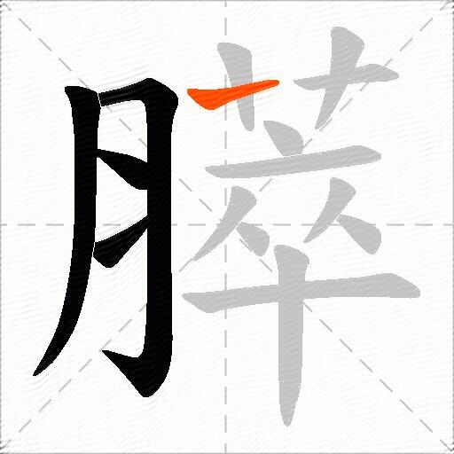 膵
