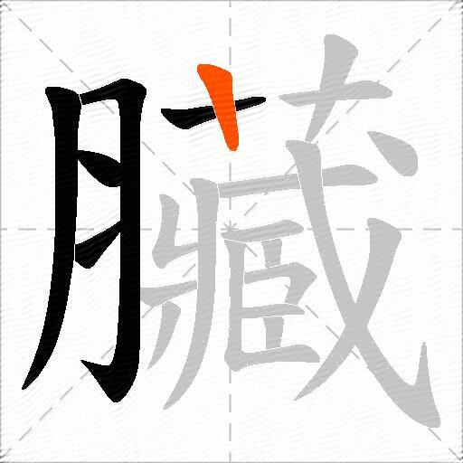 臟
