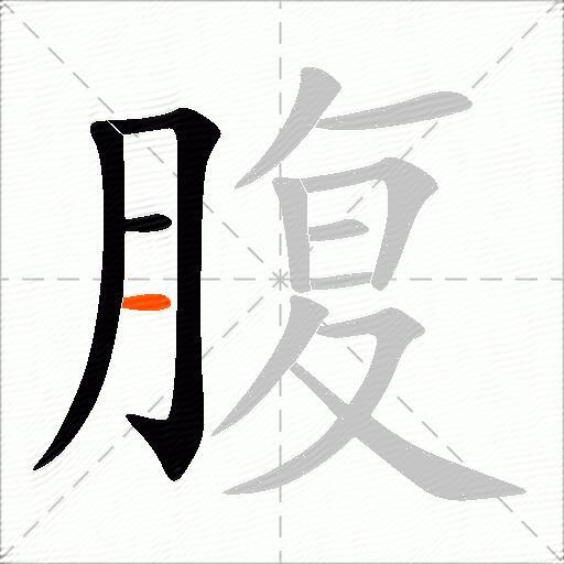 腹