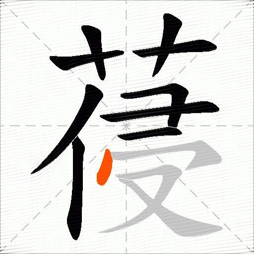 葠