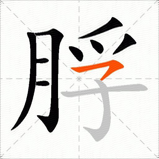 脬