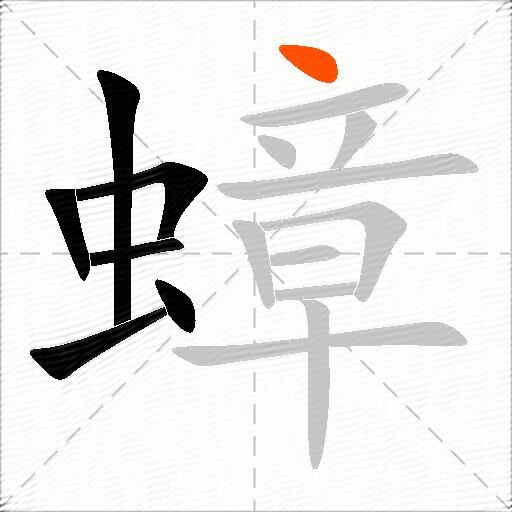 蟑