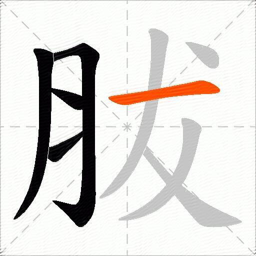 胈