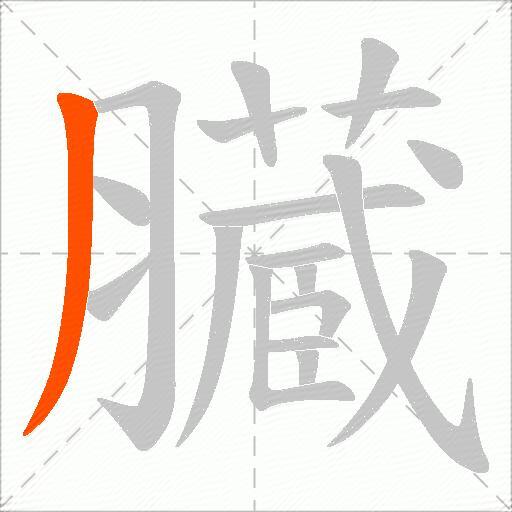 臓