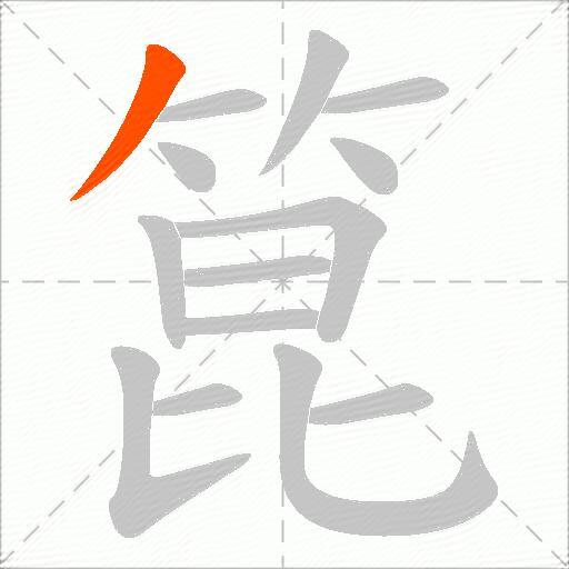箟