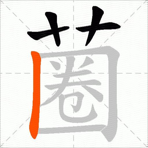蔨