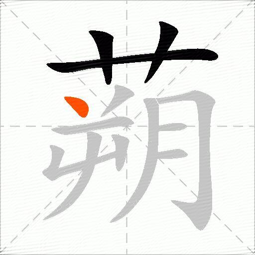 蒴